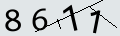 verifycode